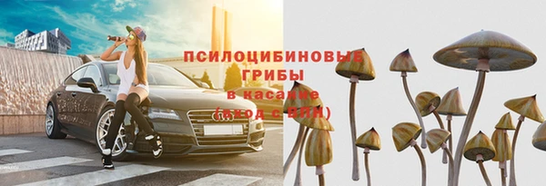 дживик Алзамай