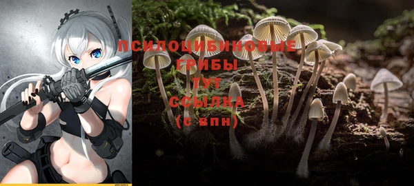 бутират Абаза