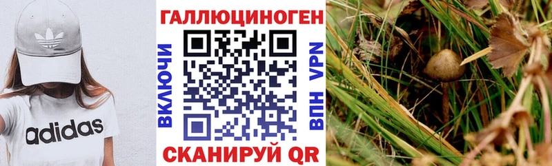 Псилоцибиновые грибы мухоморы Таштагол